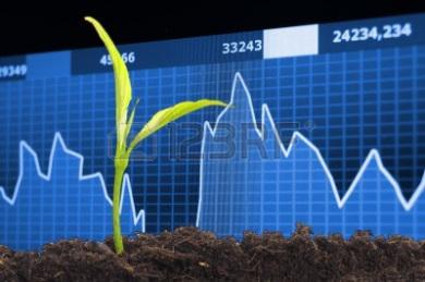 Como invertir Imagen