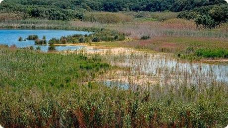 Lago_Preola1 Lago_Preola1