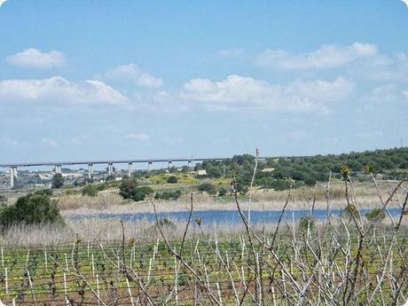 Lago_Preola_Murana Lago_Preola_Murana