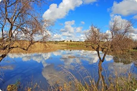 Lago_Preola5 Lago_Preola5