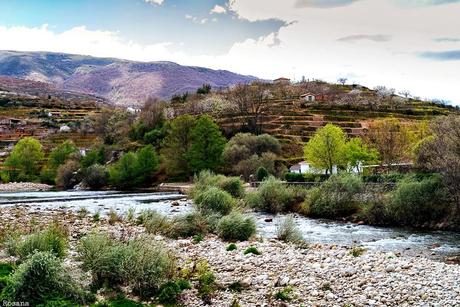 Semana de descanso... visitando el paraíso -Valle del Jerte-