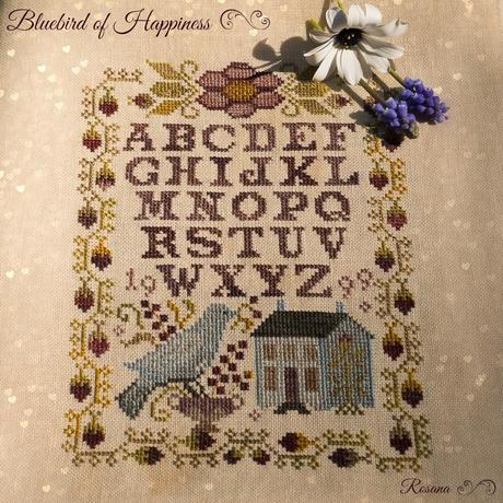 Bluebird of Happiness -BBD- SAL de Cova Bluebird of Happiness -BBD- SAL de Cova