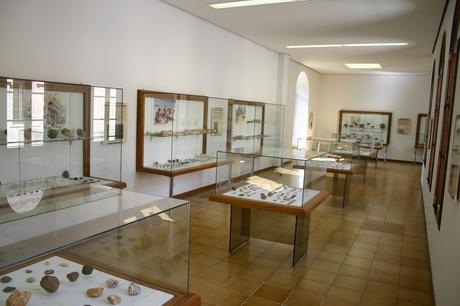 Museo de Arqueología de Cataluña-interior museo-de-arqueologia-de-cataluña-salas