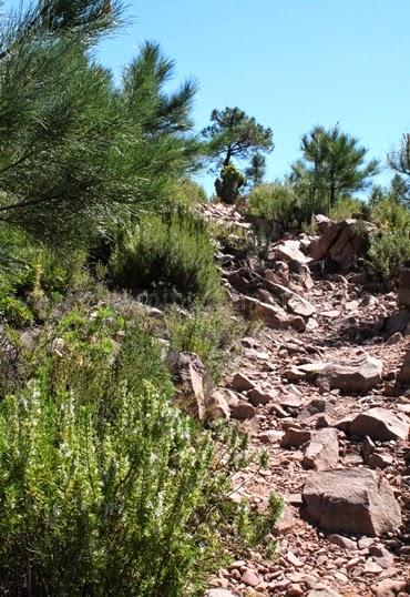 Castillo de Montornés, senderismo en del Desierto de las Palmas Castillo de Montornés, senderismo en del Desierto de las Palmas