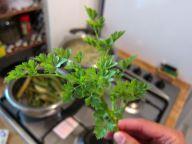 risotto-de-esparragos-12 risotto-de-esparragos-