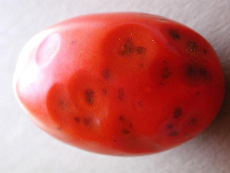 ¿Qué le pasa a mi tomatera? - Problemas en flores y frutos Antracnosis en tomates