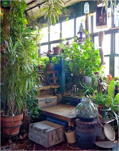 Jardín interior - Paperblog