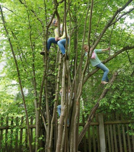 Sunday Bloody Sunday Niñas en un árbol