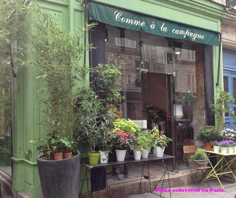 Flores en París. Flores en París.