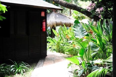 Casual Look Casual Look