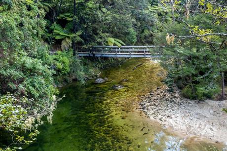 Puentes y ríos en Abel Tasman Puentes y ríos en Abel Tasman