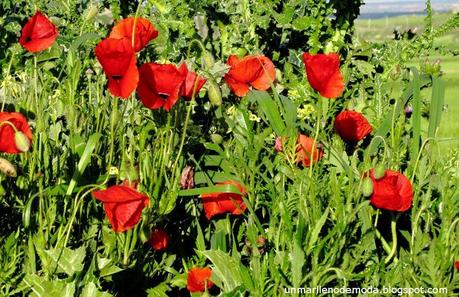 unmarllenodemoda unmarllenodemoda