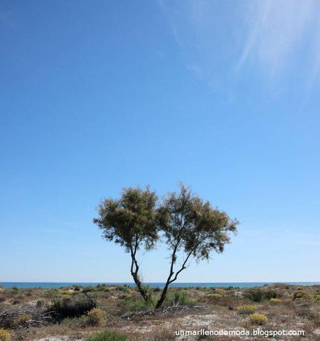 San Pedro del Pinatar, unmarllenodemoda San Pedro del Pinatar, unmarllenodemoda