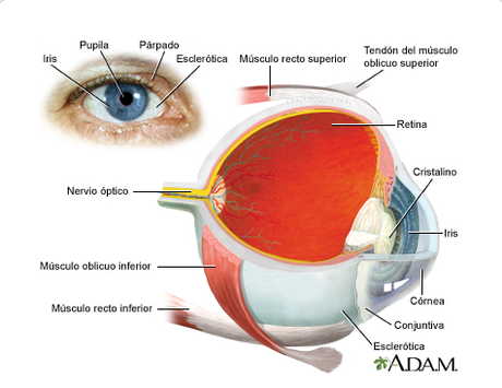 El ojo Captura de pantalla 2013-01-24 a las 11.06.57