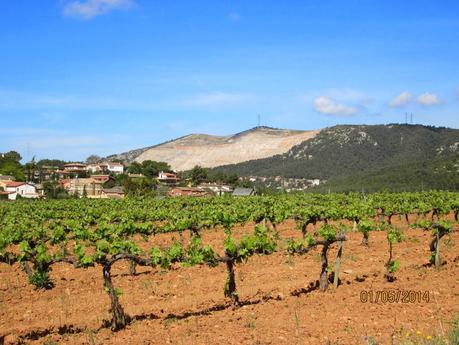 Gavà - Begues - Puig Bernat (Vallirana) - Olesa - Begues - Gavà 01/05/2014 Gavà - Begues - Puig Bernat (Vallirana) - Olesa - Begues - Gavà 01/05/2014