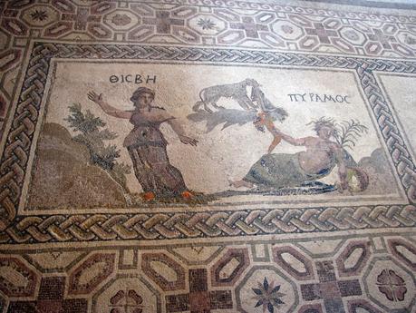 Chipre - Pafos - Mosaico de la casa de Dionisos