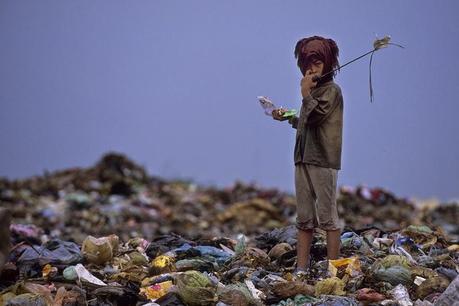 La isla de las Flores La isla de las Flores