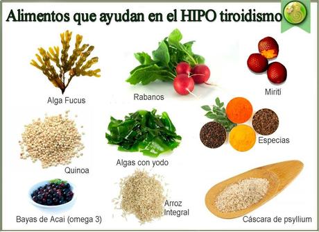 hipotiroidismo frutas