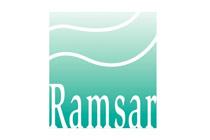 Un poco de orden en la lasaña de los espacios protegidos de España Ramsar