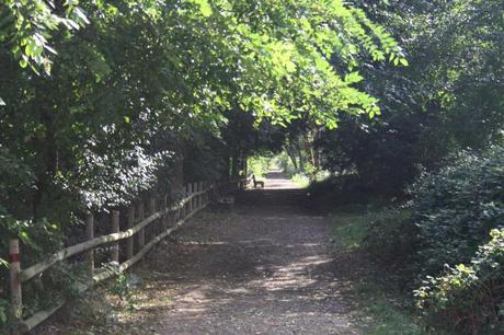LA FOTOGRAFÍA Ruta en Nájera, La Rioja. Foto: Sara Gordón