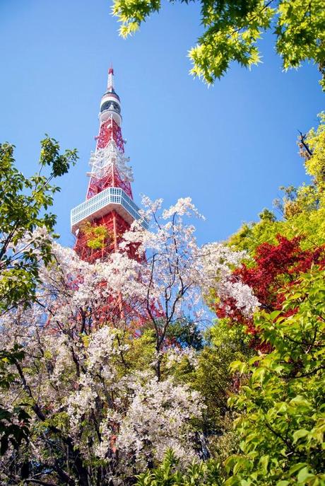 Tofuya-Ukai: Una comida tradicional en el centro de Tokio Tofuya-Ukai: Una comida tradicional en el centro de Tokio
