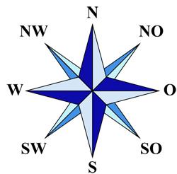 Orientados en un mundo loco Rosa