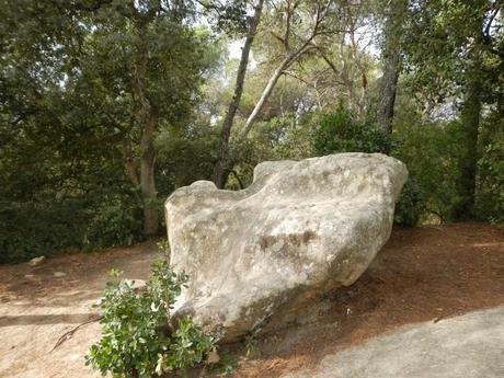 Pedra de les Creus. Serralada Litoral Pedra de les Creus. Serralada Litoral