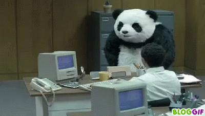 Panda 4.0 Update – Reacciones Web Penalizada Panda 4.0