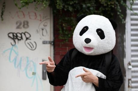 Panda 4.0 Update – Reacciones Panda 4.0