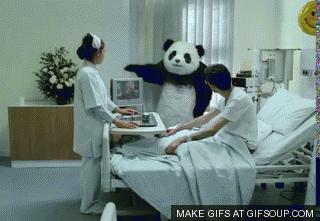 Panda 4.0 Update – Reacciones Web Penalizada Panda