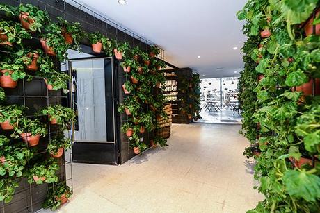El Huerto de Lucas, un nuevo mercado de abastos orgánico en el centro de Chueca. el huerto de lucas more and co arquitectos 14