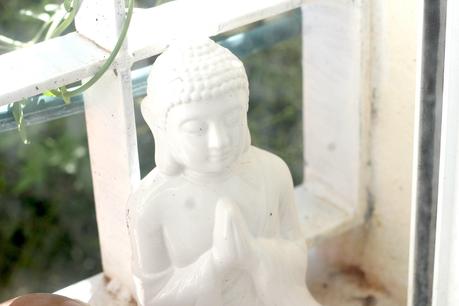 Mis metas de Junio budha