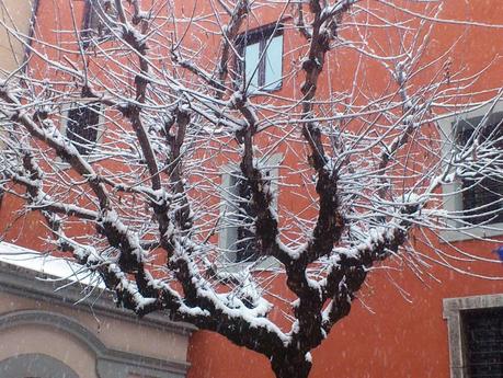 Cuento corto: A un hombre de madera Cuento corto: A un hombre de madera