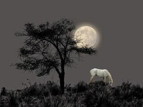 REMINISCENCIAS XIV REMINISCENCIAS XIV