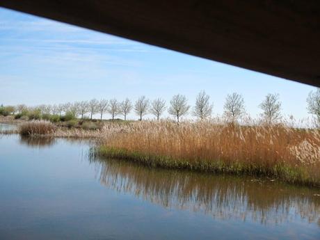 Laguna Grande de Bercianos del Real Camino (León) Laguna Grande de Bercianos del Real Camino (León)