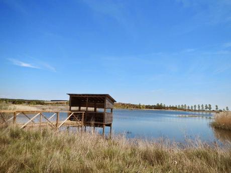 Laguna Grande de Bercianos del Real Camino (León) Laguna Grande de Bercianos del Real Camino (León)