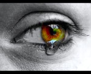 MqB un oasis en el desierto! Feliz primer aniversario mqblogers! lagrima