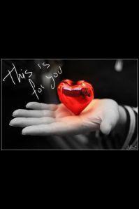 MqB un oasis en el desierto! Feliz primer aniversario mqblogers! 011