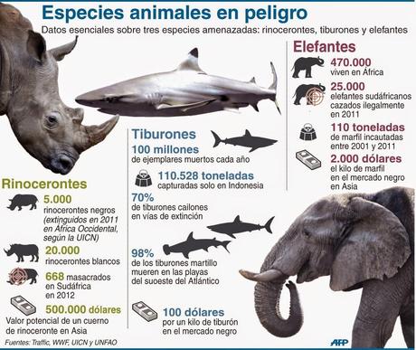 Especies animales en peligro #Infografía #Animales #Ambiental