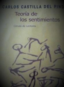 Una lectura con algo de filosofía Un ensayo en el que se enfatiza el aspecto relacional de los diferentes sentimientos.