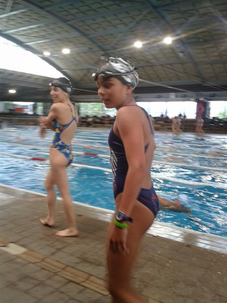 Campionat Interterritorial Seleccions de Natació. Campionat Interterritorial Seleccions de Natació.