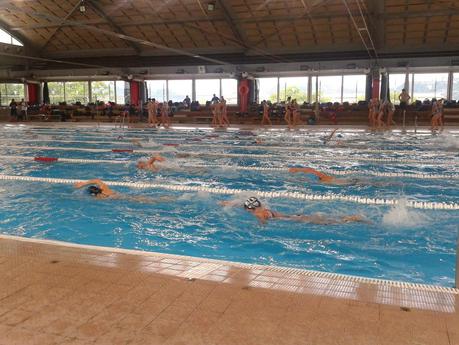 Campionat Interterritorial Seleccions de Natació. Campionat Interterritorial Seleccions de Natació.