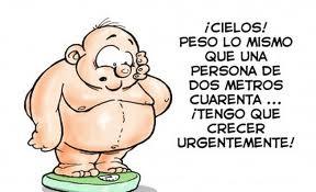 SER O NO SER GORDA SER O NO SER GORDA