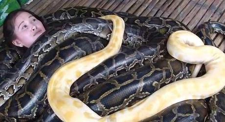 masaje con serpientes en Filipinas masaje con serpientes en Filipinas