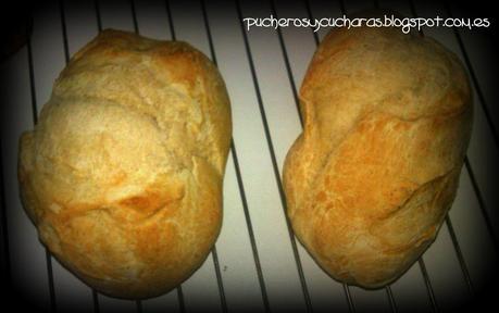 Pan semi-integral Pan semi-integral