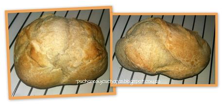 Pan semi-integral Pan semi-integral