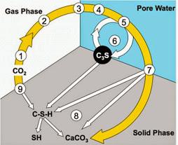 Carbonatación inducida al hormigón Carbonatación inducida al hormigón