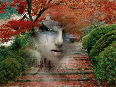 El JARDIN DEL ALMA El JARDIN DEL ALMA