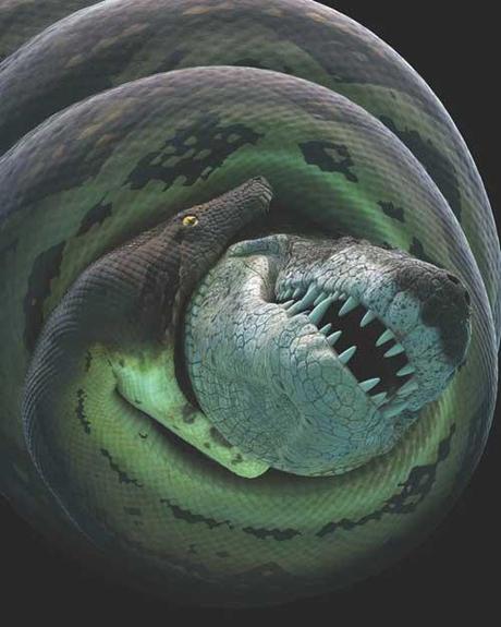 lucha de una titanoboa y un cocodrilo prehistórico lucha de una titanoboa y un cocodrilo prehistórico