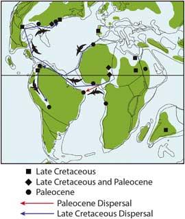 migración Dyrosaurus desde África migración Dyrosaurus desde África